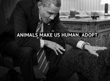 ADOPT
